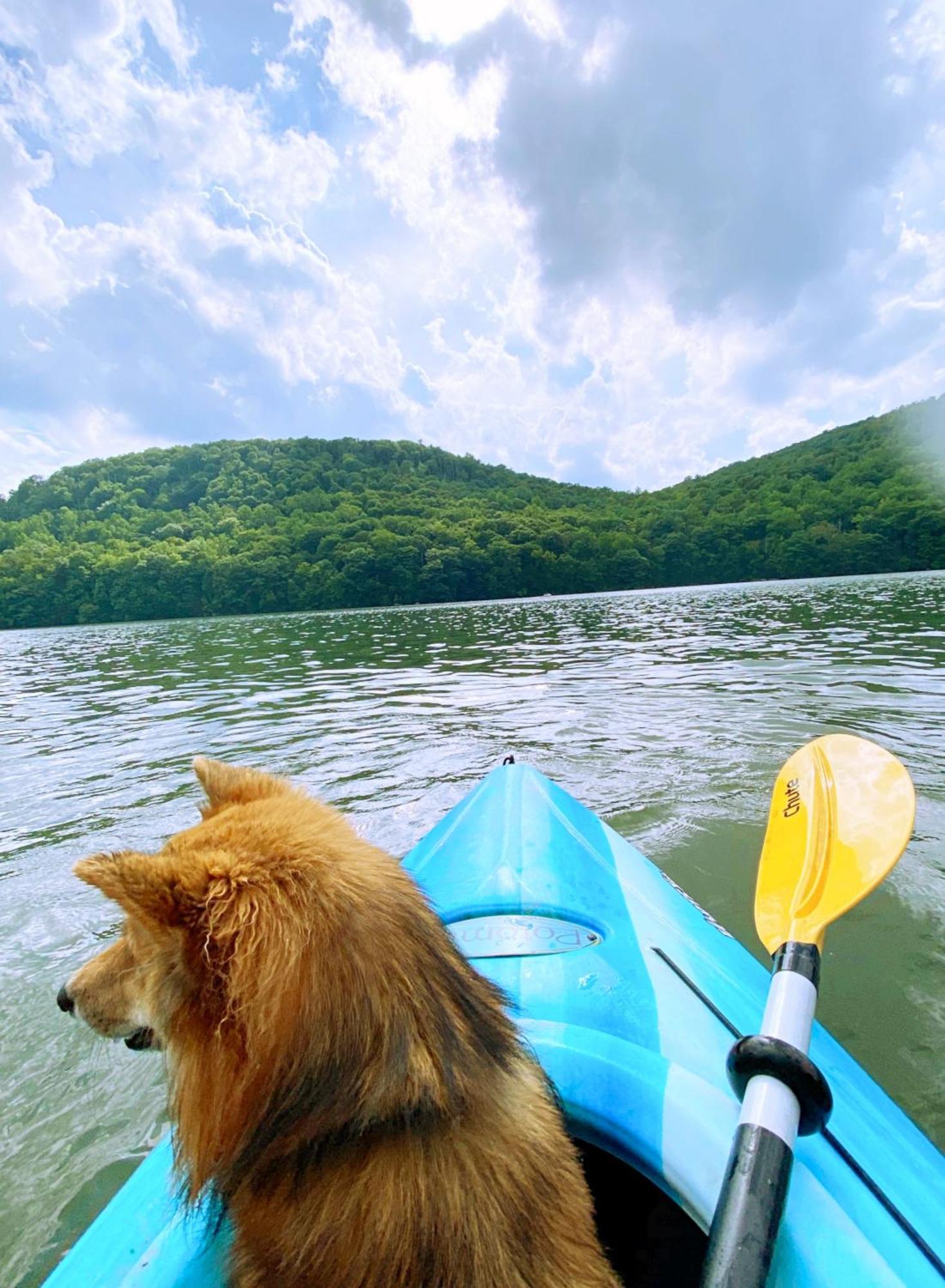 Lakeview Home 3 Private Beaches W/ Kayaks, On Squantz Pond New Fairfield Exteriér fotografie